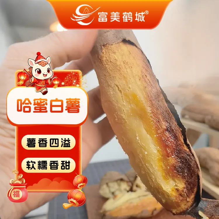 【富美鹤城】哈密白薯新鲜农家软糯香甜地瓜红薯白心冰糖蜜薯番薯