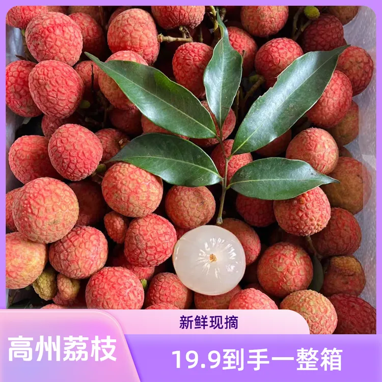 【顺丰京东包邮】正宗广东茂名高州白糖罂荔枝颗颗爆甜纯甜无酸