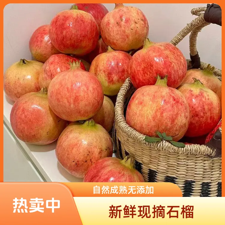 四川大凉山突尼斯软籽石榴孕妇应季新鲜水果爆甜多汁软籽大石榴
