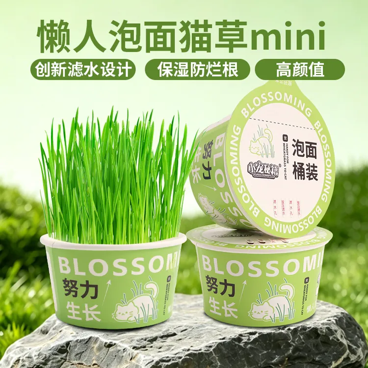 懒人泡面猫草创新滤水设计猫咪零食化毛排毛球懒人猫草mini