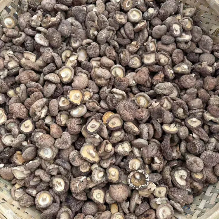 香菇干货农家小香菇肉质肥厚浓香2025新货