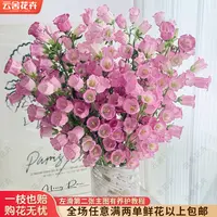  【云舍花卉】【粉色风铃】一份  全场鲜花任意满两单及以上包邮发货