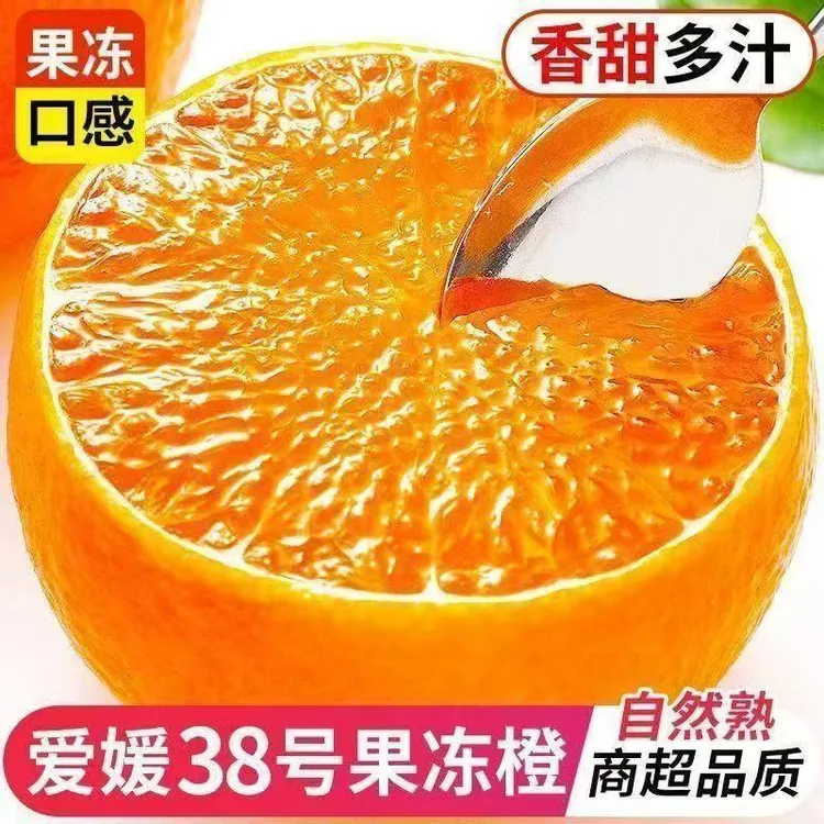 正宗四川眉山爱媛果冻橙新鲜现摘清甜爆汁细腻化渣应季水果XL 
