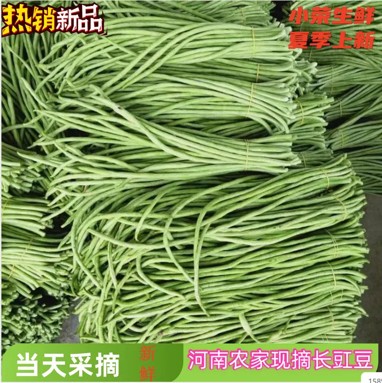 河南农家自种新鲜长豆角豇豆现摘鲜甜脆嫩无筋现摘先发保温加冰
