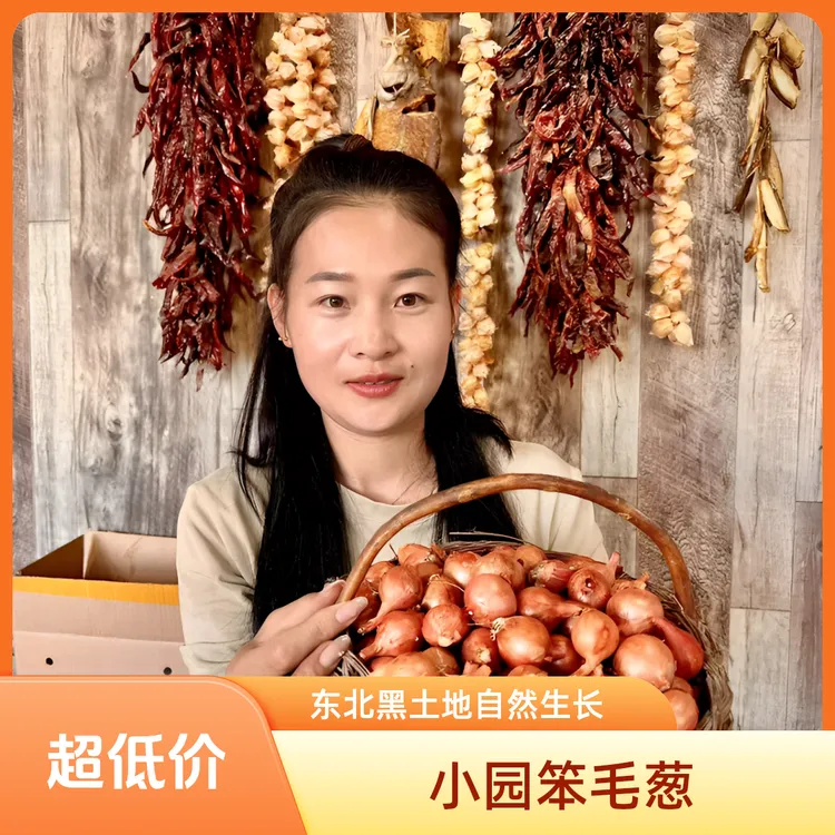 黑龙江小园笨毛葱小火毛葱味道浓嘎嘎辣