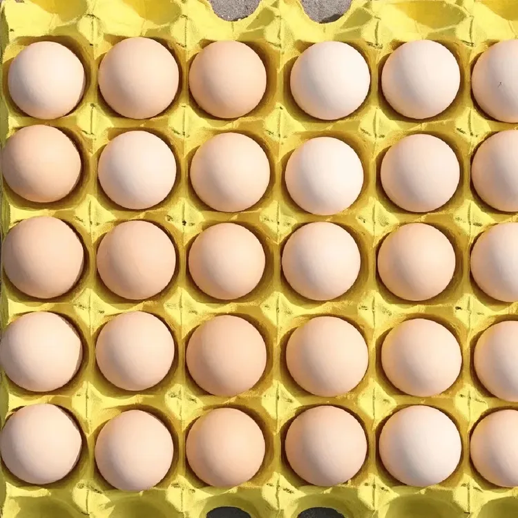 【新店起量】50枚大号土鸡蛋农家散养正宗新鲜健康鸡蛋营养鸡蛋10枚