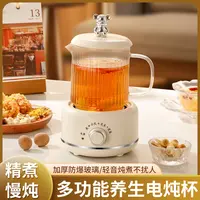 多功能家用养生壶花茶壶炖煮一体煮茶壶养生杯电炖杯