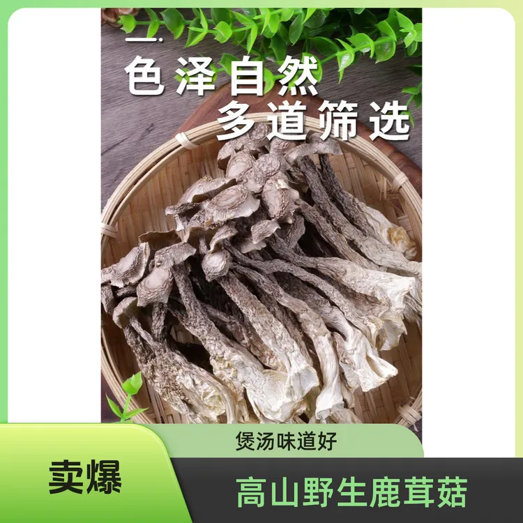 古田高山头茬鹿茸菇新货无硫无熏干货可凉拌炒肉煲汤