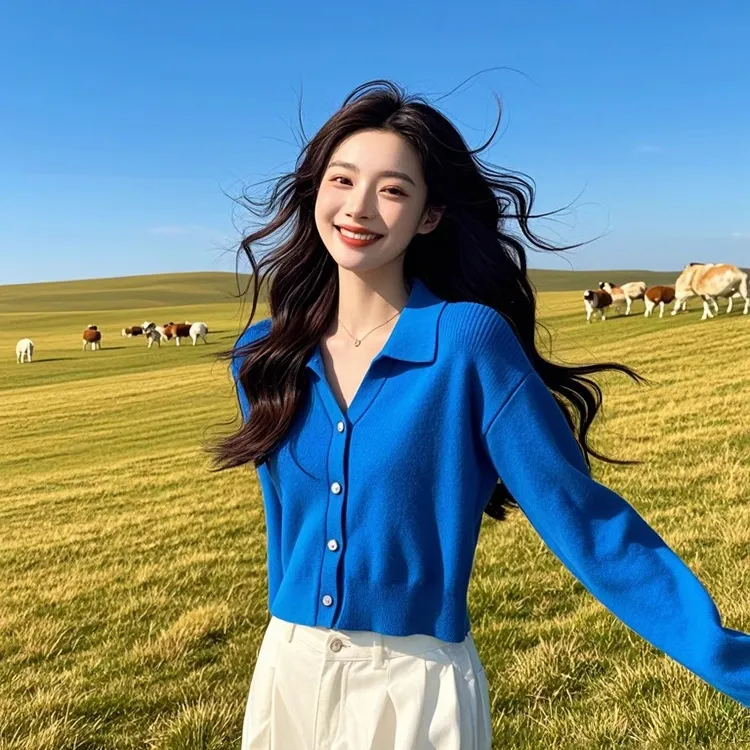 2025早秋新款法式高级感polo领克莱因蓝色毛衣针织开衫外套上衣女