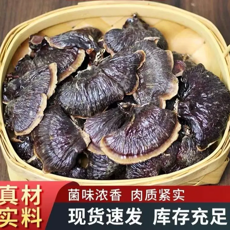 【永乐行】山东灵芝干货煮水煲汤佳品S