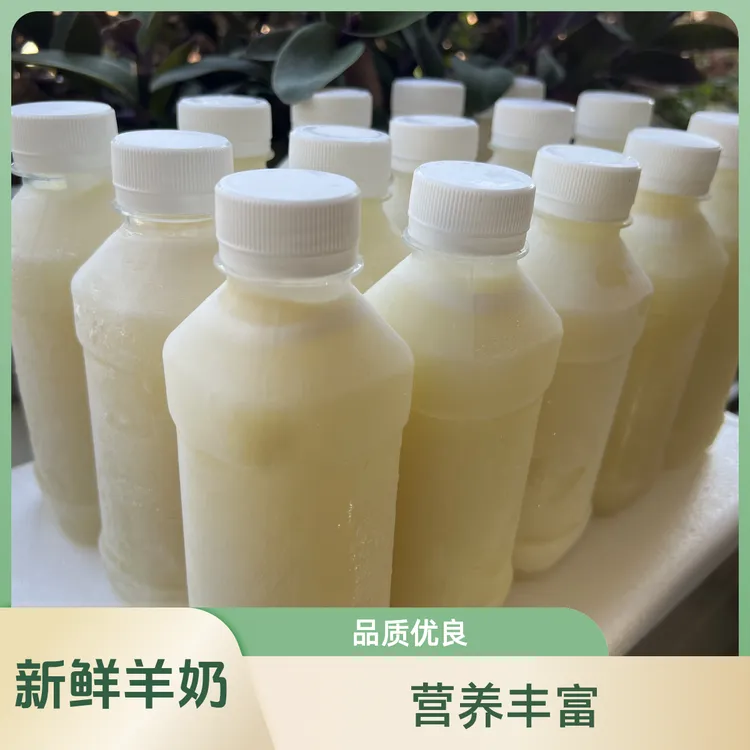 现挤新鲜羊奶1公斤起顺丰京东冷链老人儿童孕妇营养鲜奶牧场直发