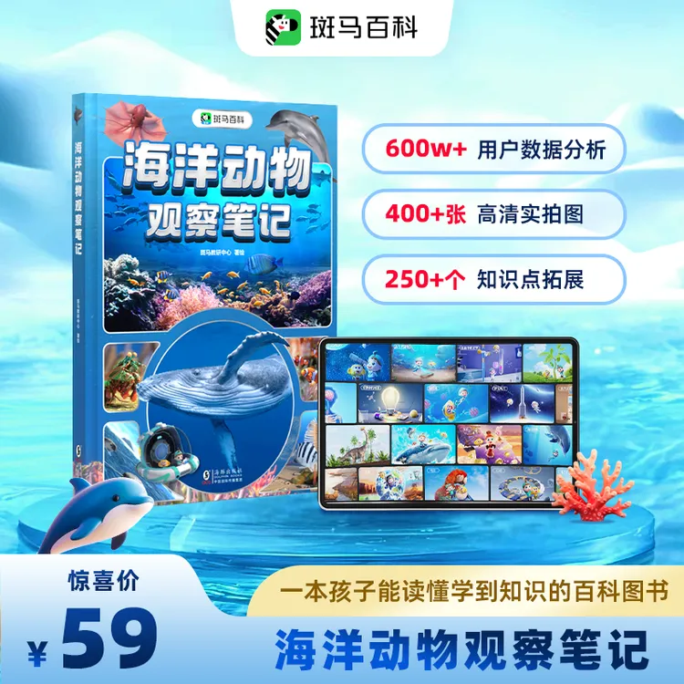 【斑马百科】斑马百科 海洋动物观察笔记商品图