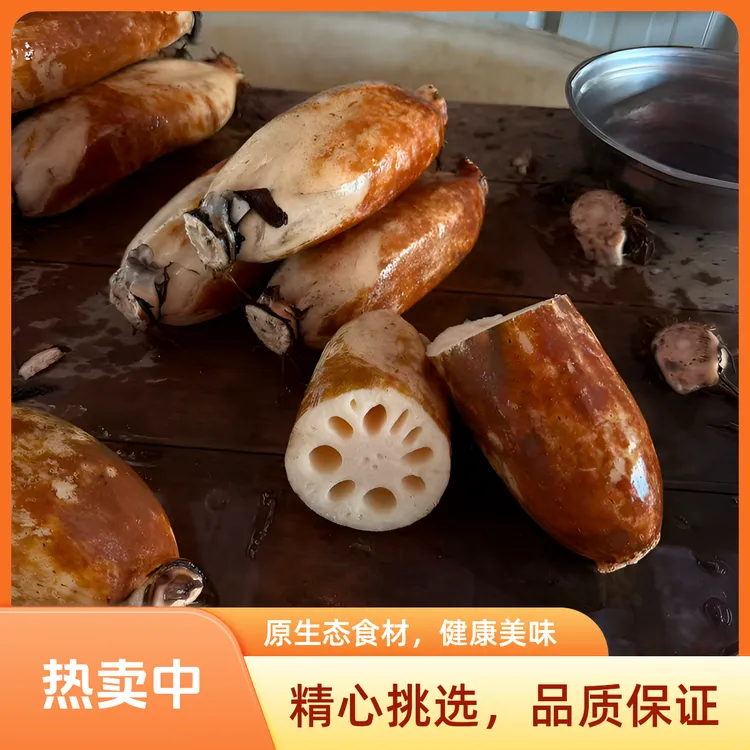 新鲜上市正宗湖北粉藕新鲜现挖煲汤口感浓郁的莲藕面藕带泥带藕节