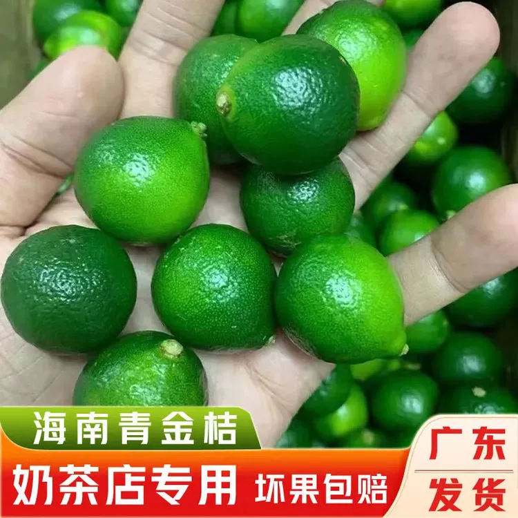 【ai精选】海南青金桔小金桔青橘子新鲜奶茶店水果新鲜青皮批发
