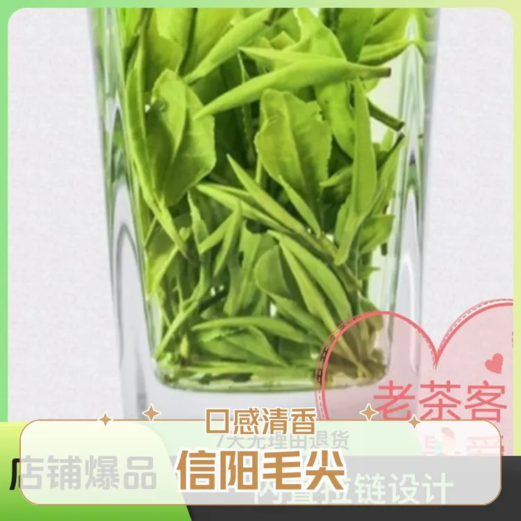 传统浓香雨前口粮茶实惠，（适合喝浓茶的茶友）信阳毛尖高山茶