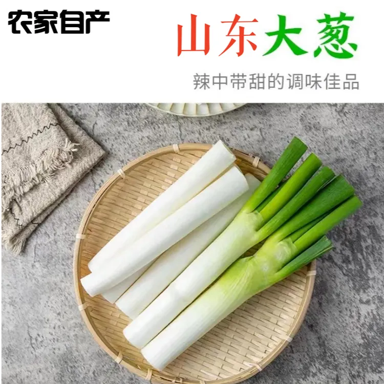 山东大葱农家大葱自家种植大葱新鲜当天现挖可埋在土里养着吃很久