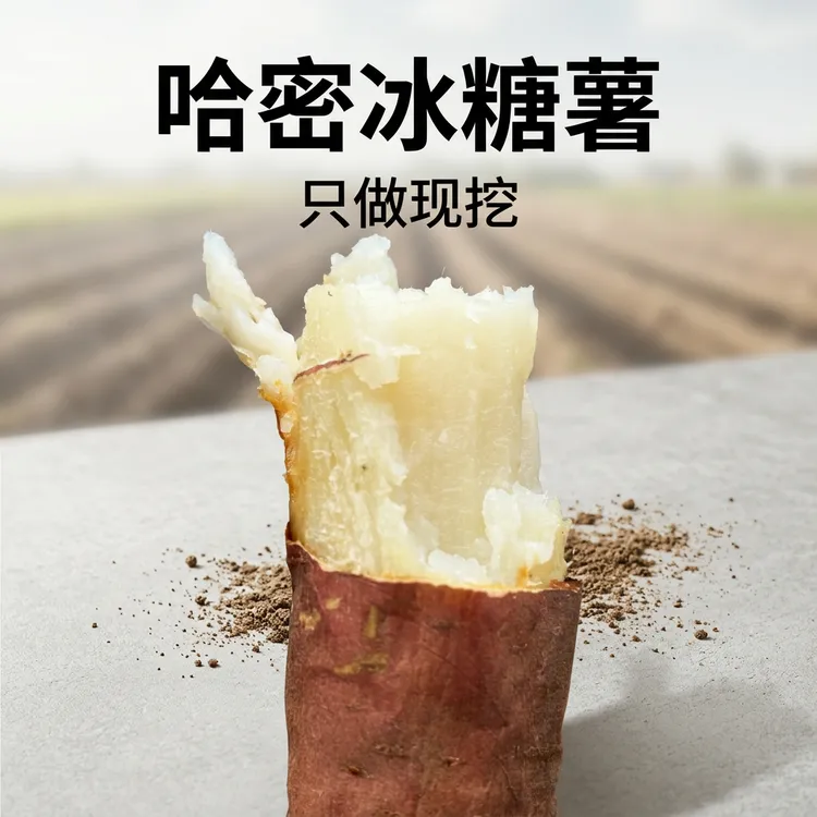 河南开封推荐哈密冰糖密薯产地直销烘烤地瓜板栗香甜净重4.5斤