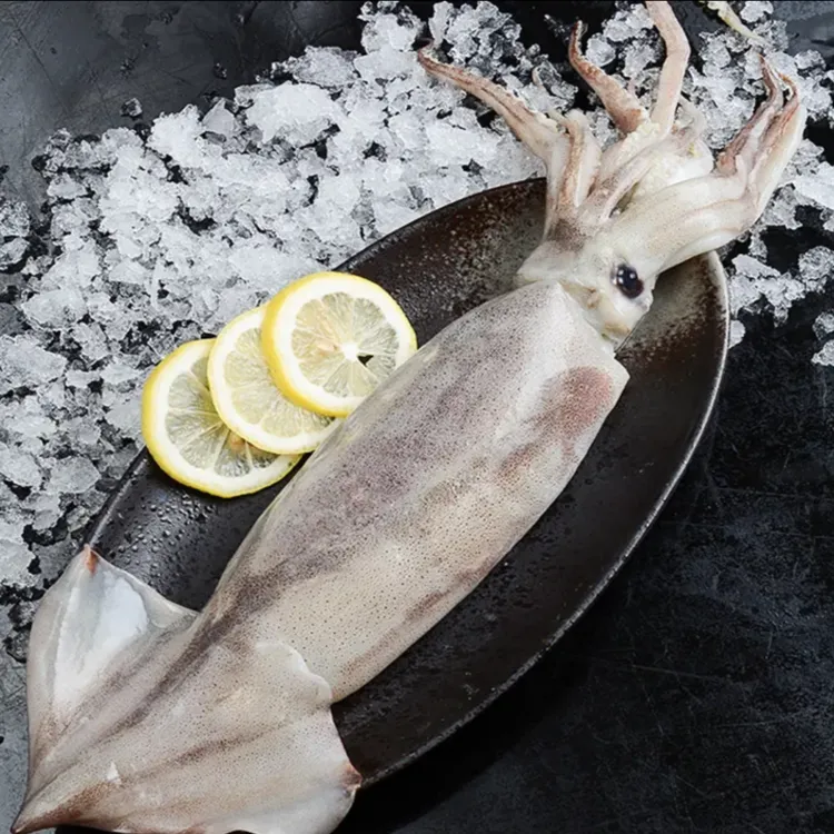 【原浆不缩水 单条独立包装】新鲜整条大鱿鱼 3斤送2斤 大份量5斤商品图