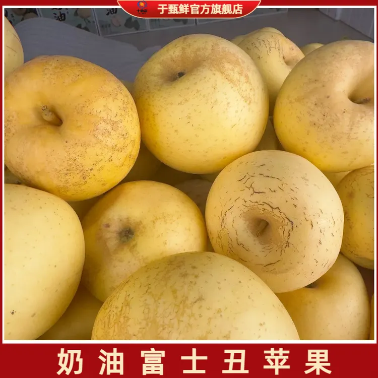 【于甄鲜选】山东烟台丑奶油富士苹果丑苹果脆甜多汁4.5-5斤装
