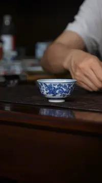 【瓷见如故】海韵堂青花香草龙宫碗