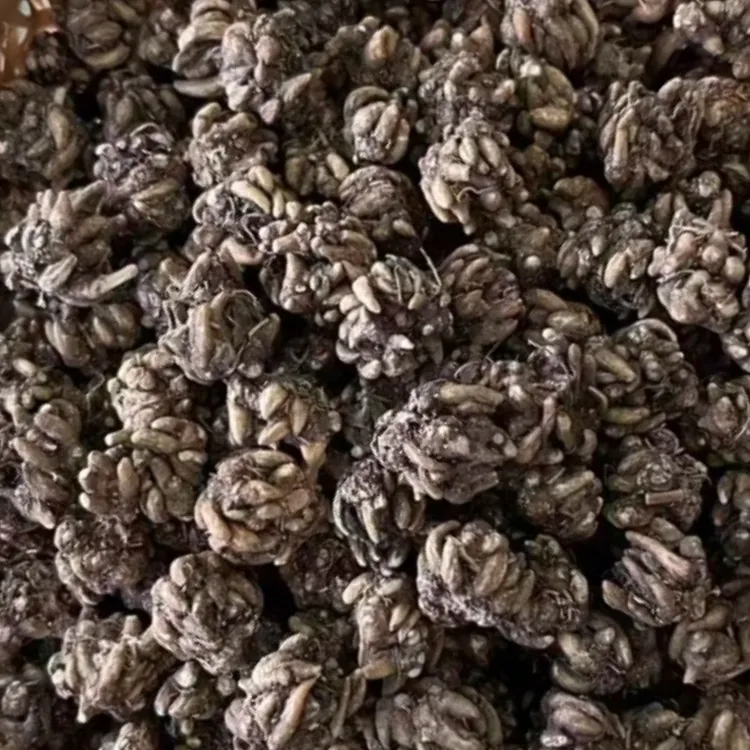 当季新猫爪草自然晾晒可煲汤可泡水