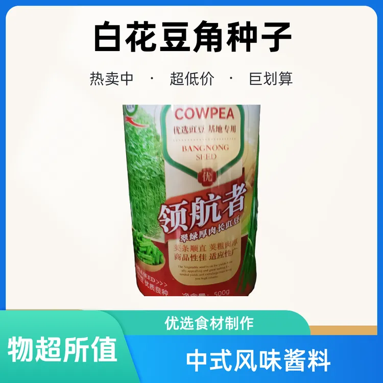 豆角种子白花白籽，领航者