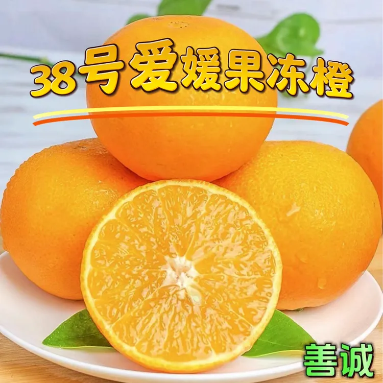 【王敏专属】四川38号爱媛果冻橙4.5/8斤皮薄无籽酸甜爆汁新鲜橙子