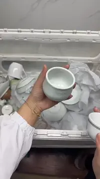 【闪购商品】029回流瓷器默认微瑕，18.8包邮