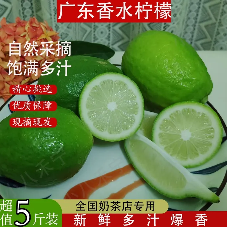 【果园现摘】新鲜多汁青柠檬 正宗广东香水柠檬一级靓果饮品必备