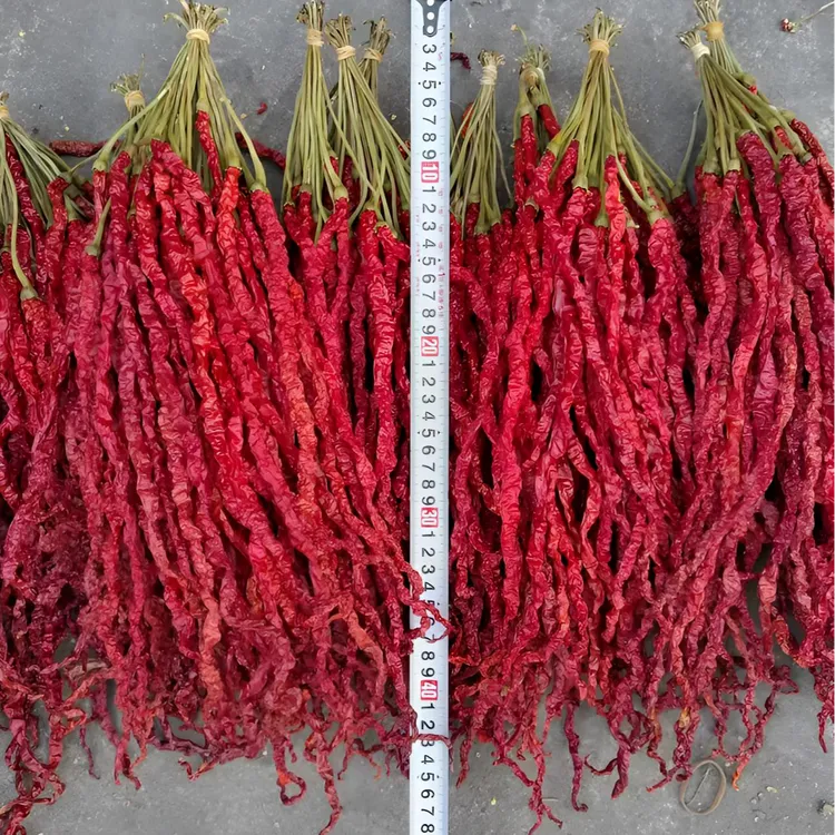 贵州特产 大方二荆条 皱皮椒 鸡爪辣 微辣不辣特香干辣椒干货