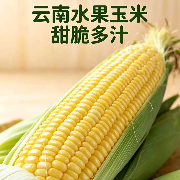 【坏了包赔】云南新鲜黄金水果玉米甜玉米现摘带皮带壳保鲜新鲜蔬菜
