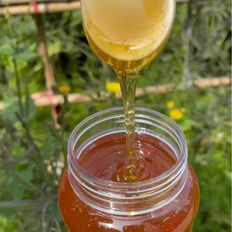  蜂蜜纯农家土蜂蜜百花蜜