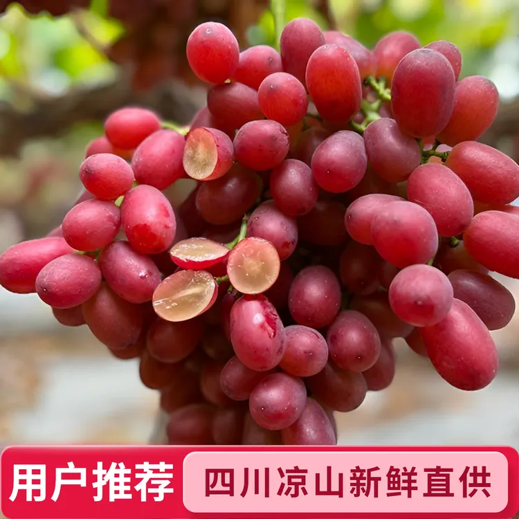 克伦生冰美人无籽红提颗颗脆甜爆汁应季新鲜水果，甜葡萄