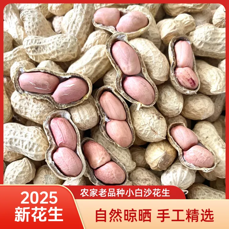 2025年老品种精选果新鲜晒干带壳生花生原味生花生种子级粉皮花生