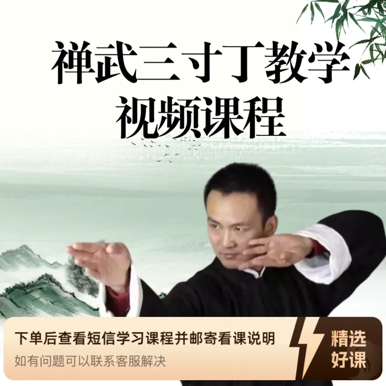 【禅武三寸丁】教学（留意短信解锁课程）