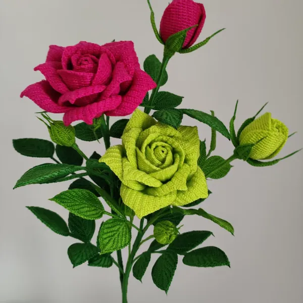 彩虹家黑巴克女王月季合集