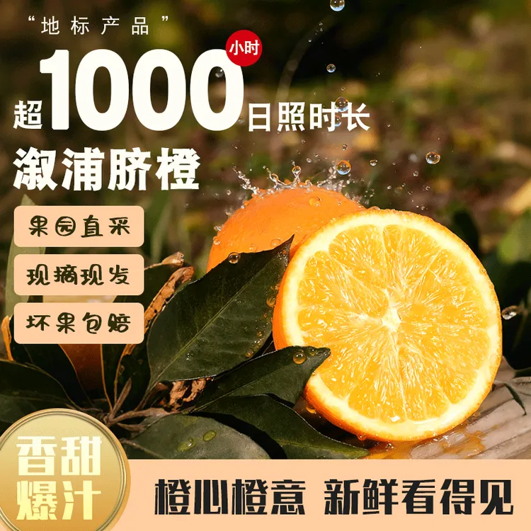 【小田同学农场】正宗溆浦脐橙 自然成熟香甜爆汁 果园现摘现发