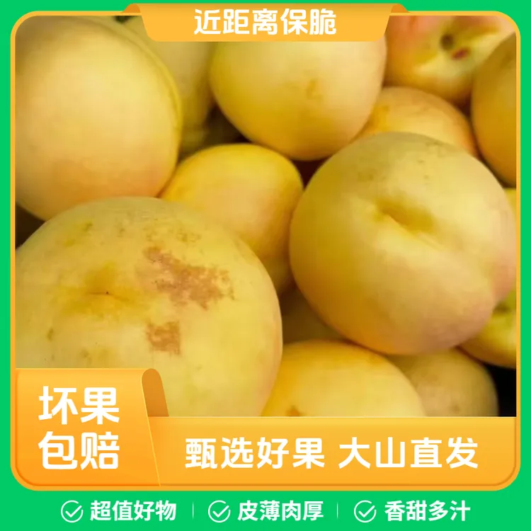 辽宁绥中现摘新鲜红心黄桃特大果丑桃子当季水果孕妇适用脆甜多汁