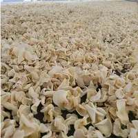 农家白玉木耳口感脆嫩