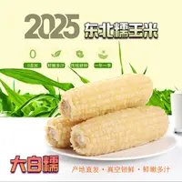 【整箱8-8.5斤】25年头茬东北白糯玉米300-380g真空包装12棒试吃3根