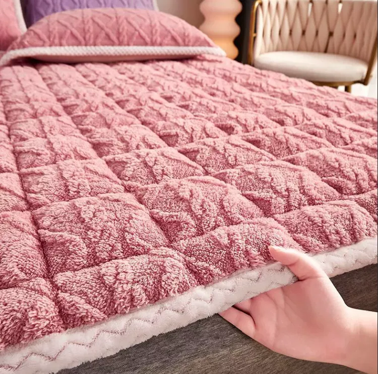 2025新款秋冬绒床单纯色塔芙蓉两件套学生宿舍床单人上下铺家用