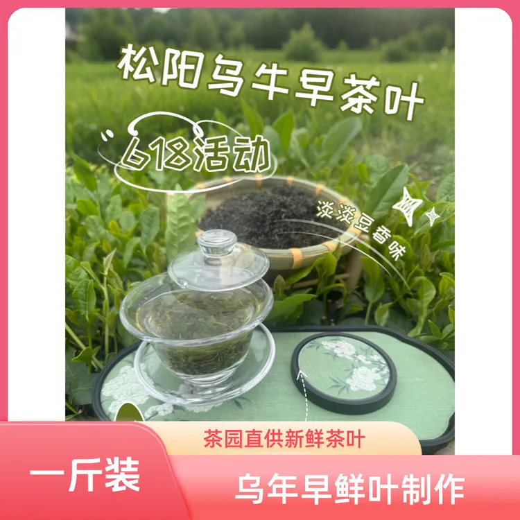 1斤装乌牛早鲜叶味道豆香茶叶