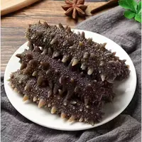 【海边夫妇】 鲜食海参 新鲜独立真空包装 深海品质 10只/盒