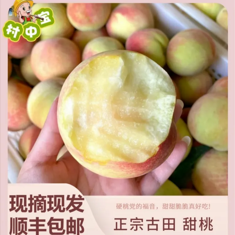 [古田正宗水蜜桃]  当季鲜果-香甜多汁 5斤/10斤礼盒装