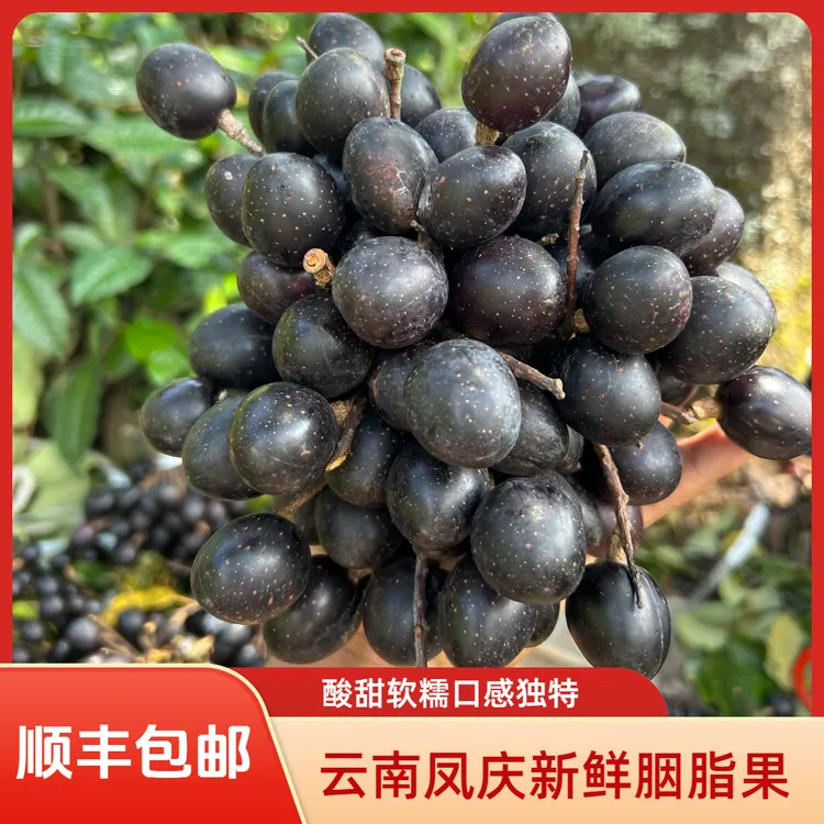 顺丰陆运包邮（省内）原生态云南凤庆特产现摘现发胭脂果