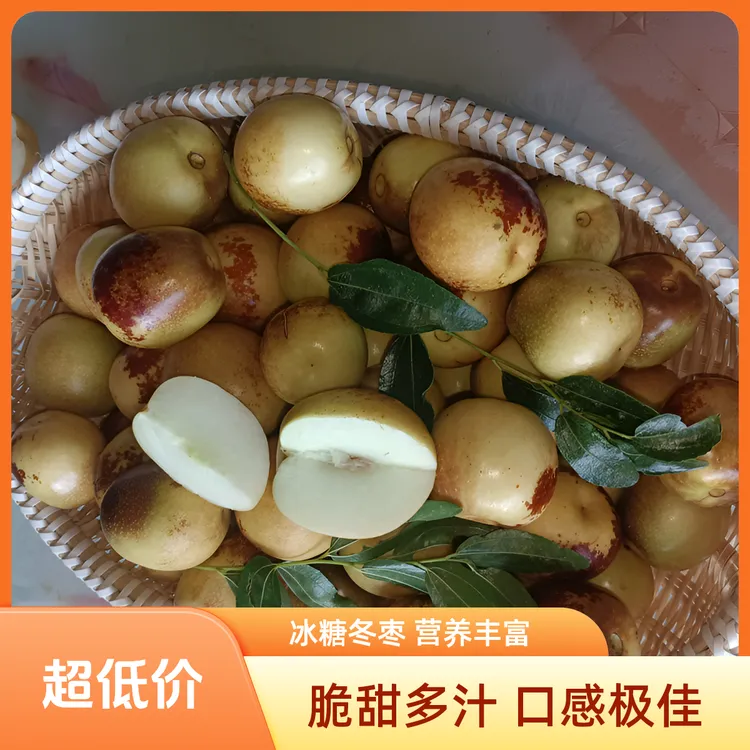 冰糖冬枣脆甜速度多汁新鲜大枣红薯农副产品儿童孕妇水果枣子