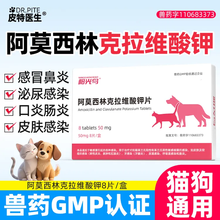 阿莫西林克拉维酸钾片宠物用猫鼻支消炎感冒咳嗽打喷嚏流鼻涕尿闭