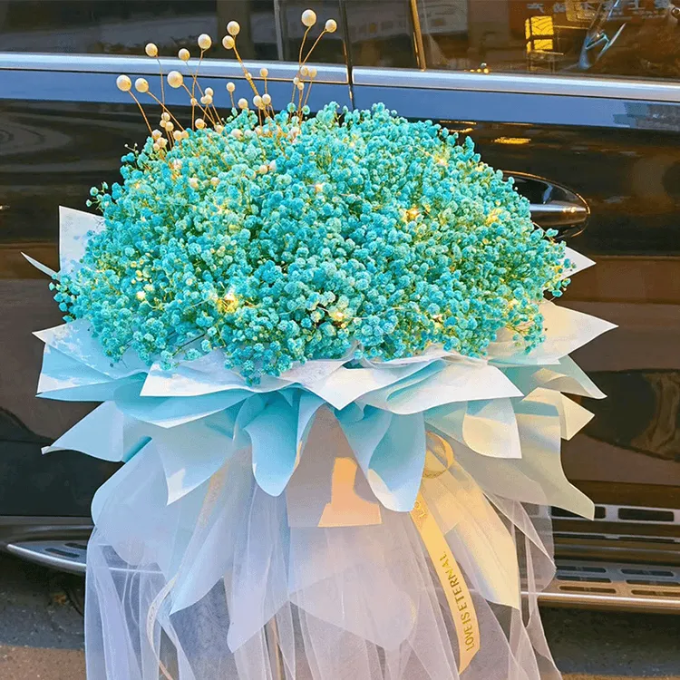 满天星花束生日惊喜送闺蜜女友全国同城鲜花配送附近花店送花上门