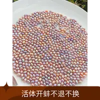 【炫彩人鱼泪ak蚌】（保8粒）可diy可定制饰品