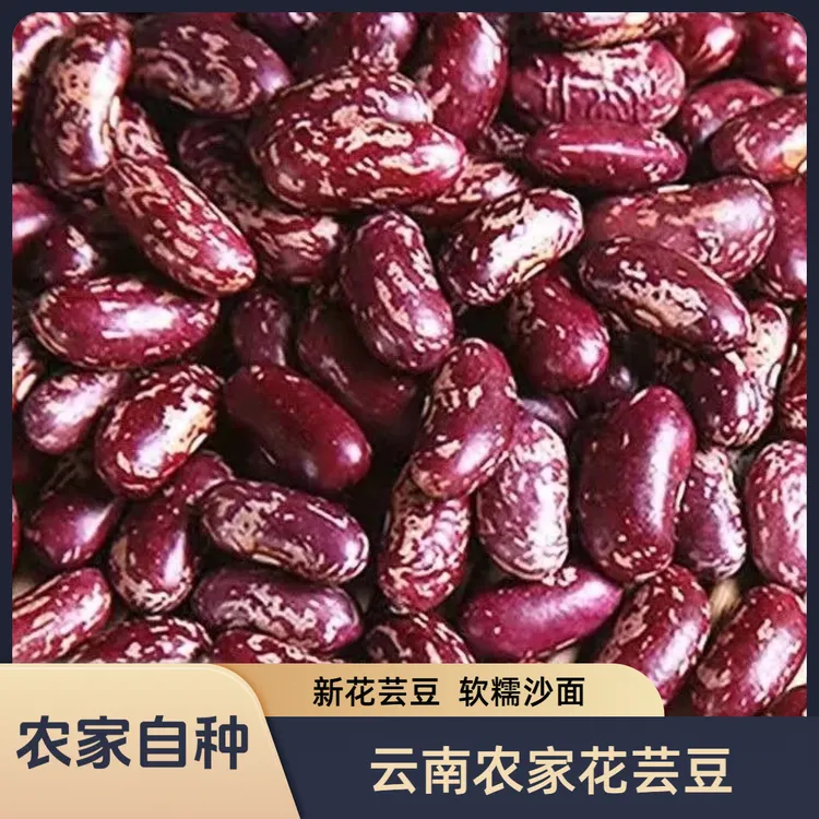 云南紫花芸豆酸菜豆米新豆腰豆农家云豆特产豆子饭豆粥豆杂粮豆